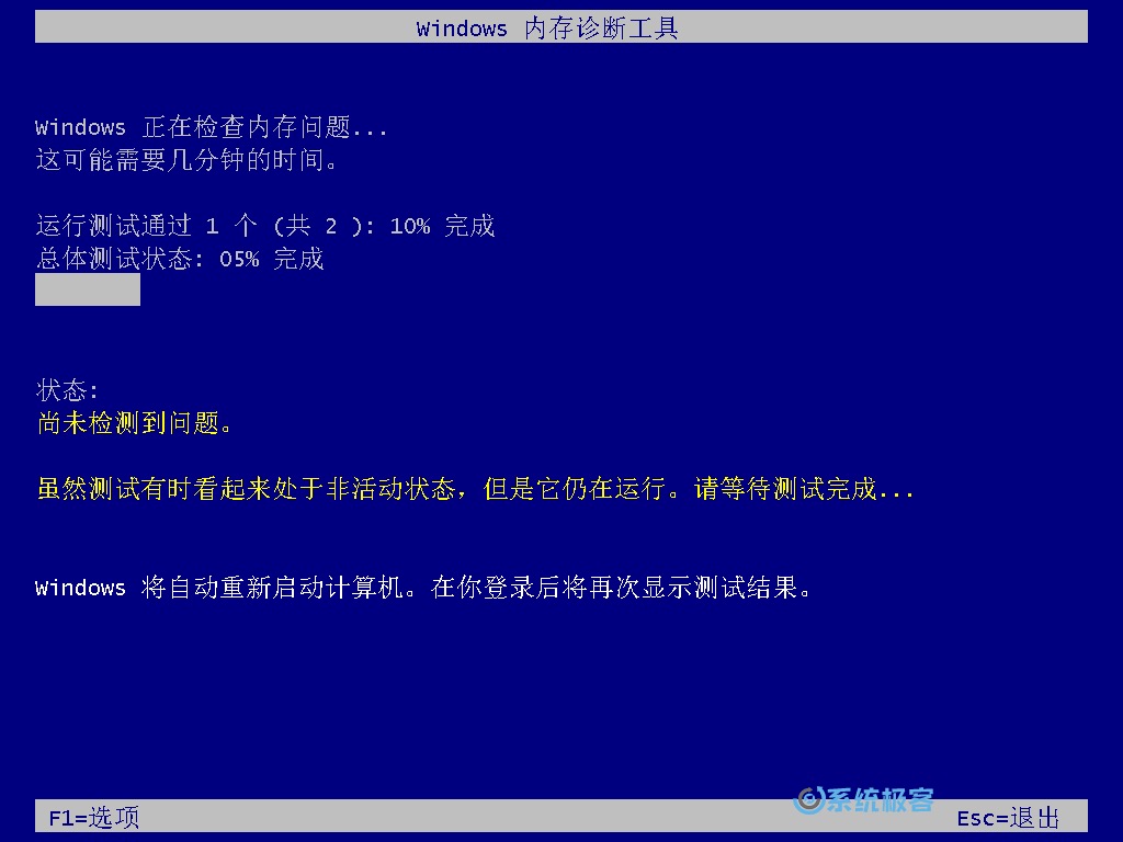 默认执行标准内存检测