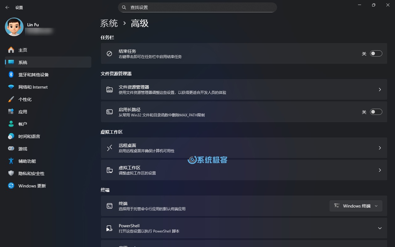 「高级」设置页面