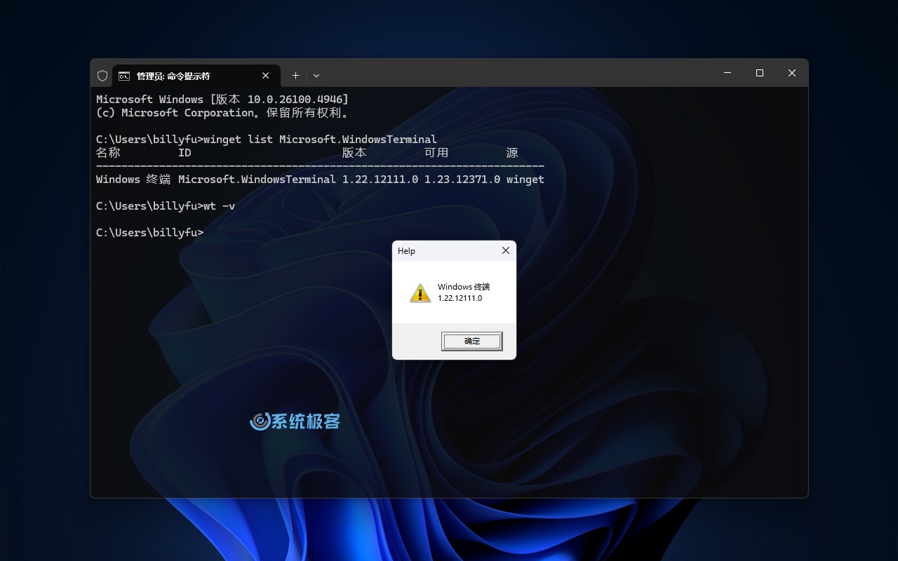 查看 Windows 终端版本