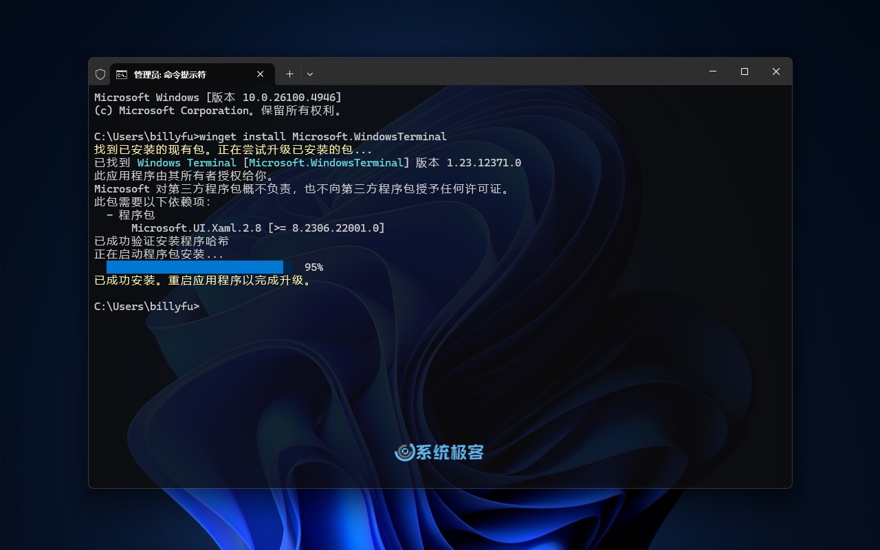 安装和更新 Windows Terminal 版本