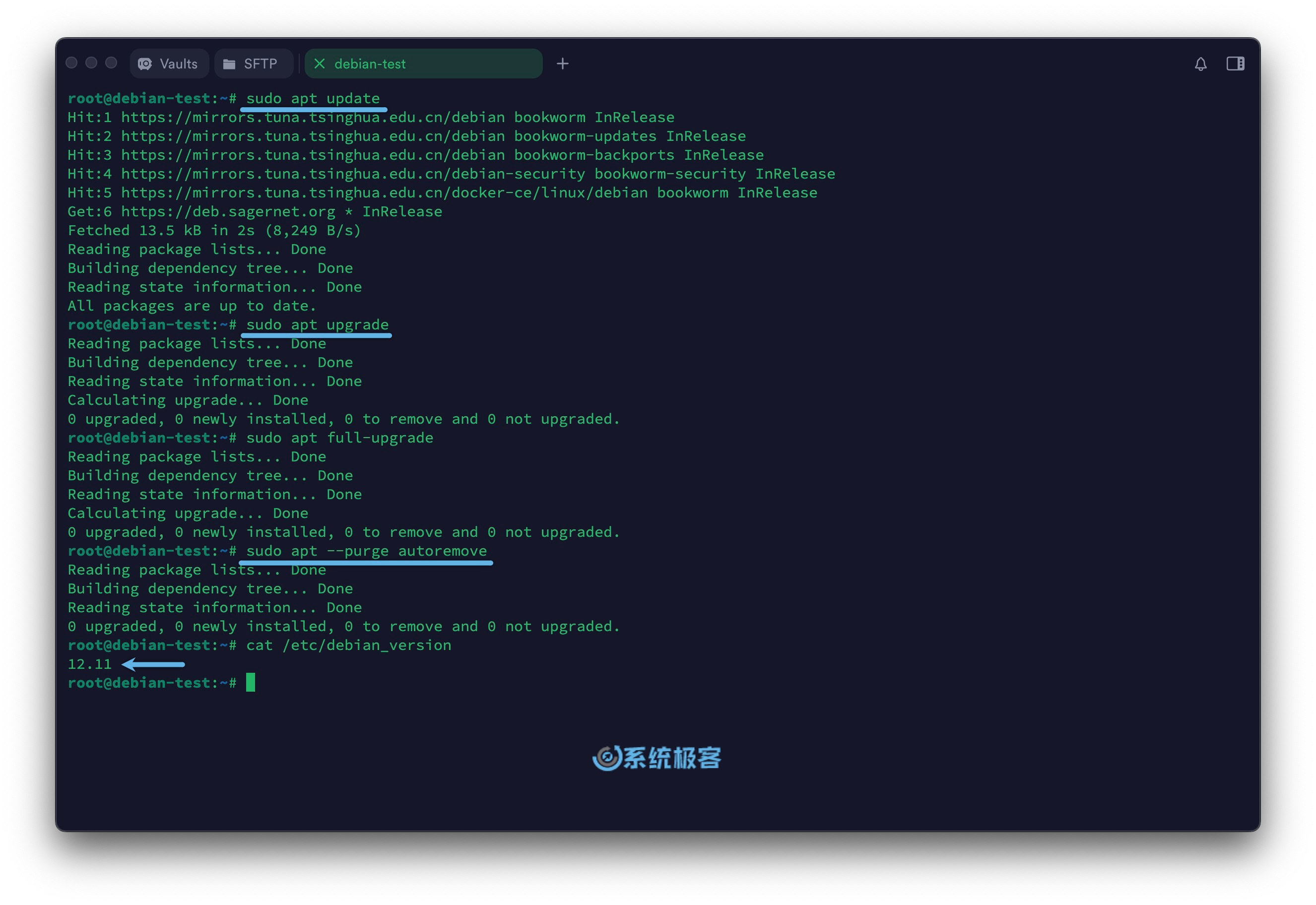 更新 Debian 12 所有软件