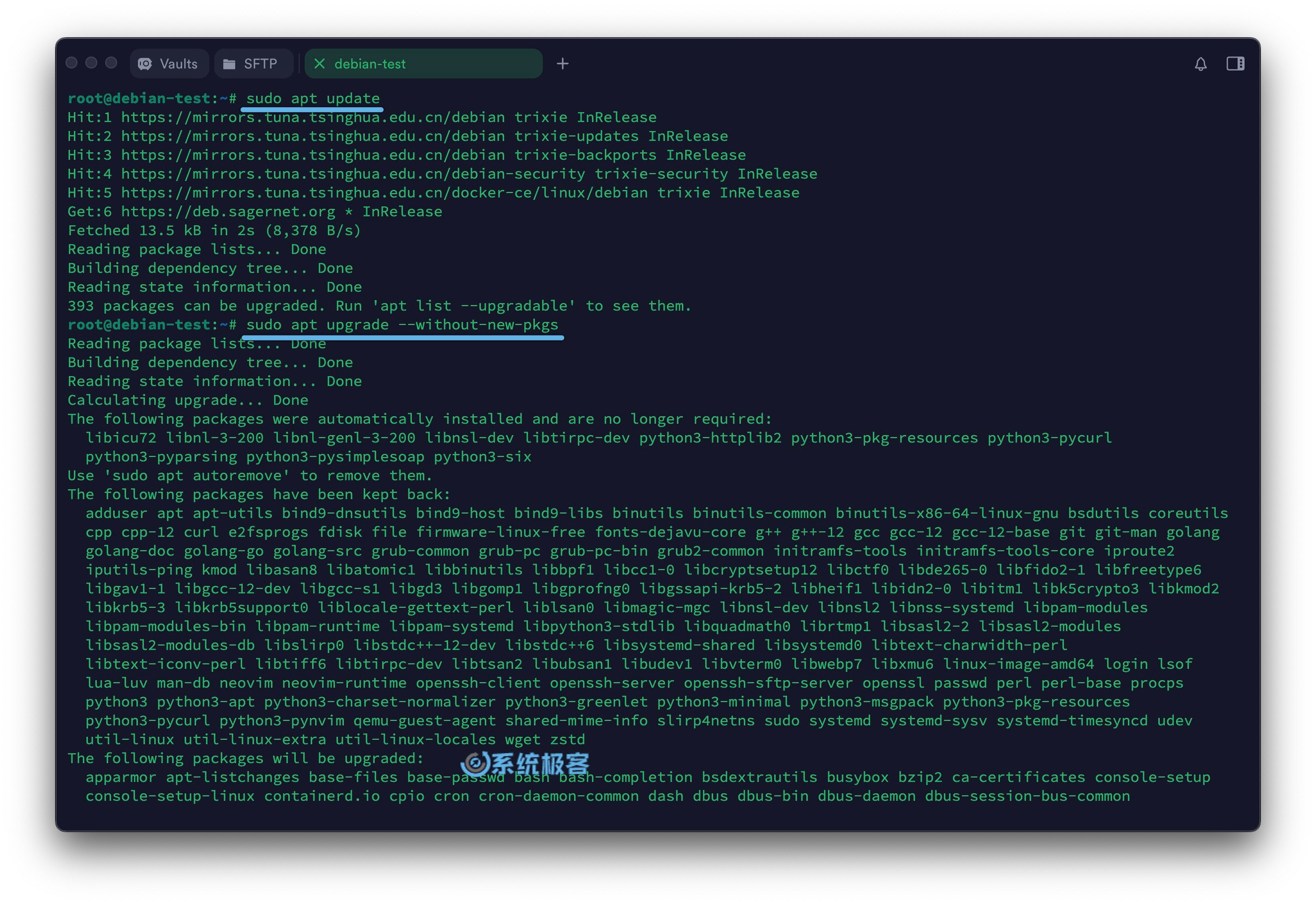 执行 Debian 13 最小化升级
