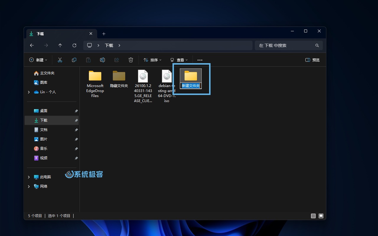 使用 Ctrl + Shift + N 新建文件夹并命名