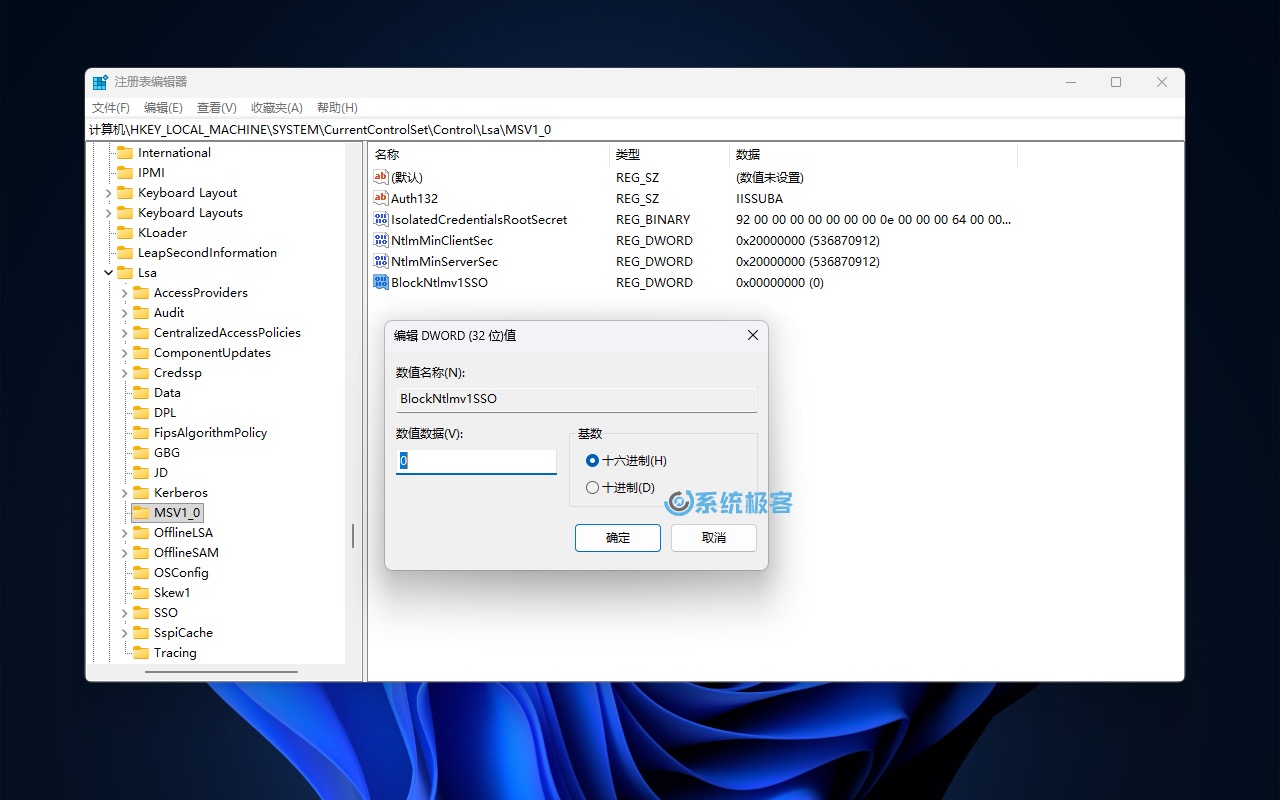 设置 BlockNtlmv1SSO 注册表项