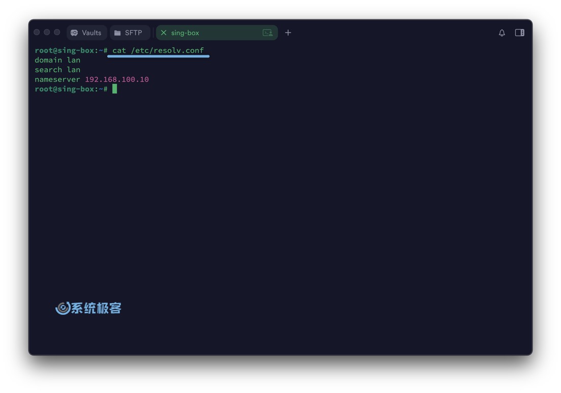 查看 resolv.conf 文件