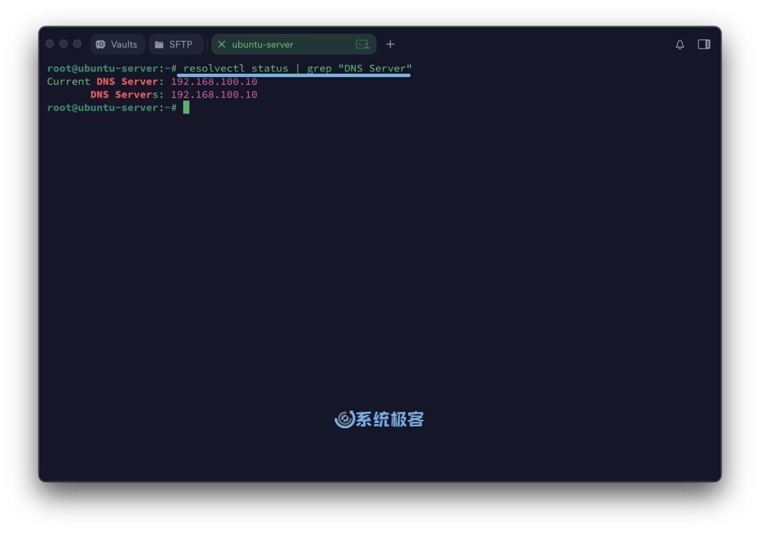 使用 resolvectl 命令查看活动 DNS