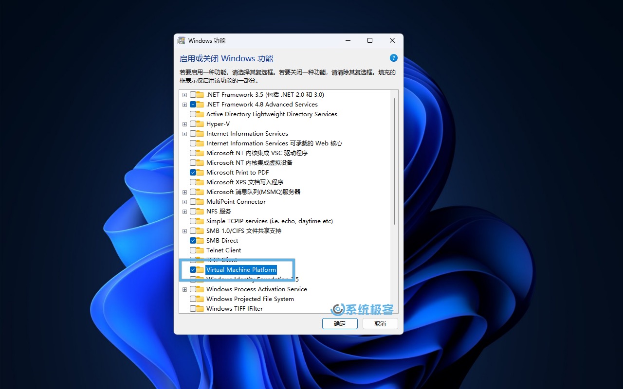 通过「Windows 功能」安装 Virtual Machine Platform