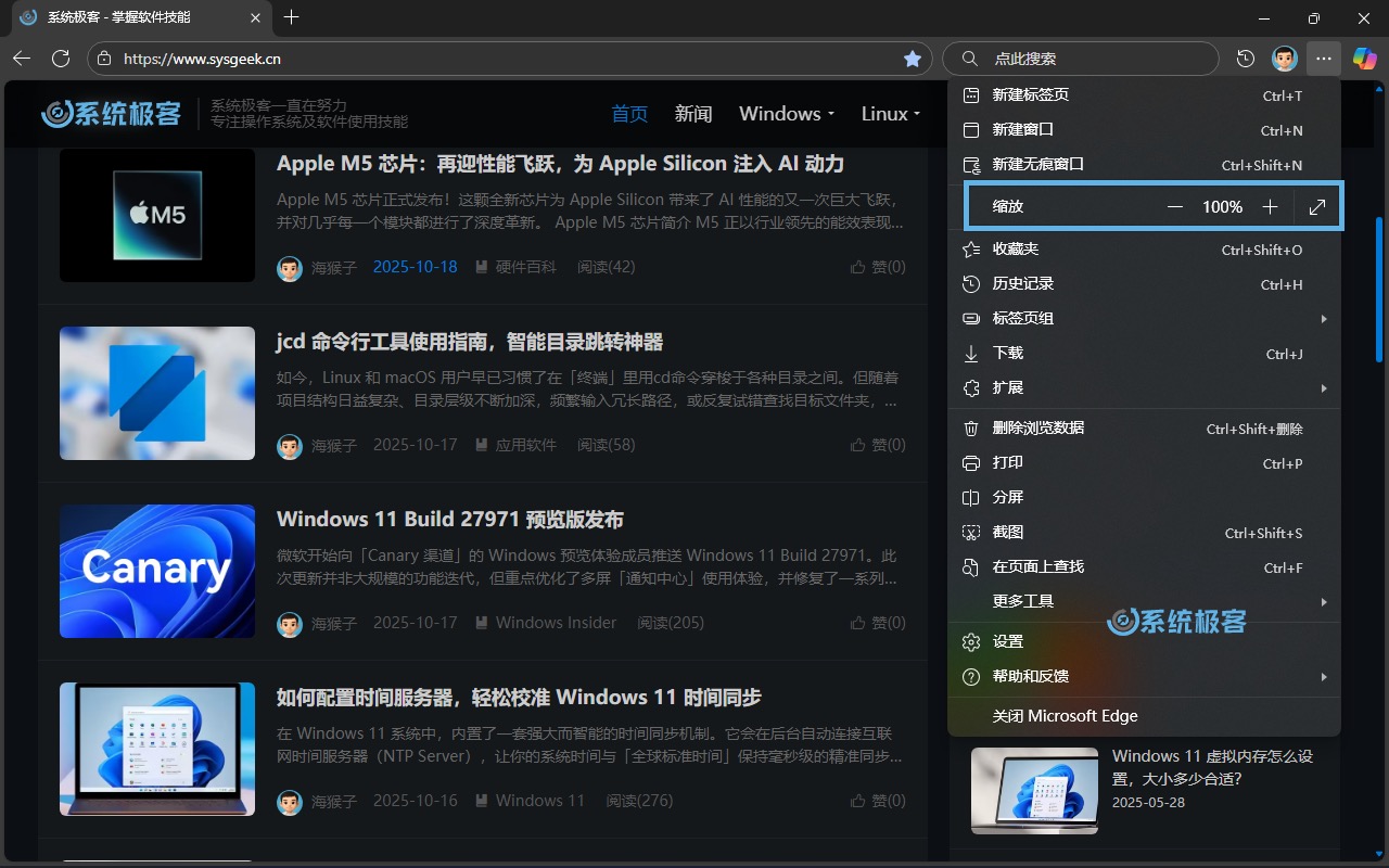 设置 Microsoft Edge 缩放百分比