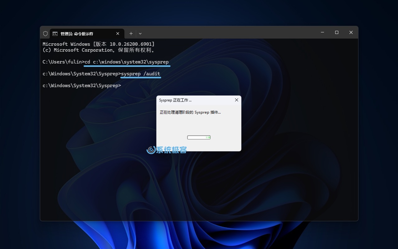 进入 Windows 11 审核模式