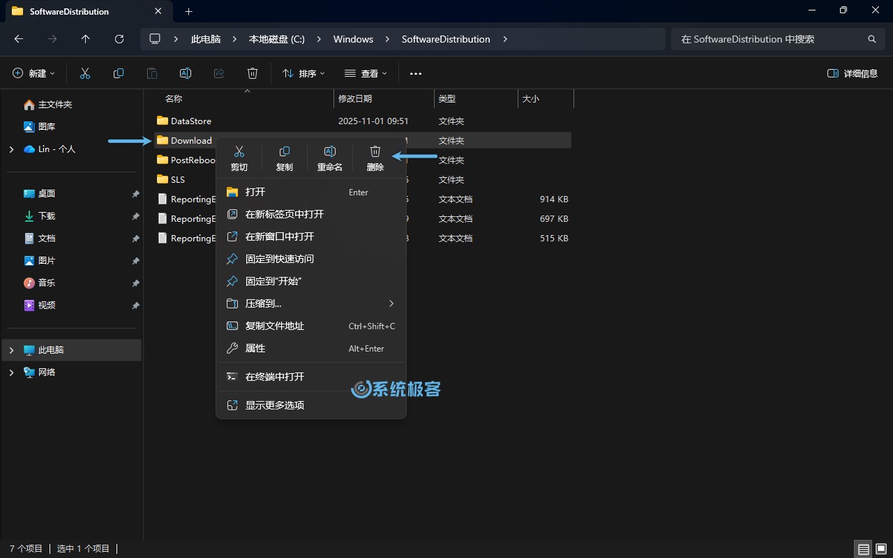 手动删除 Download 目录