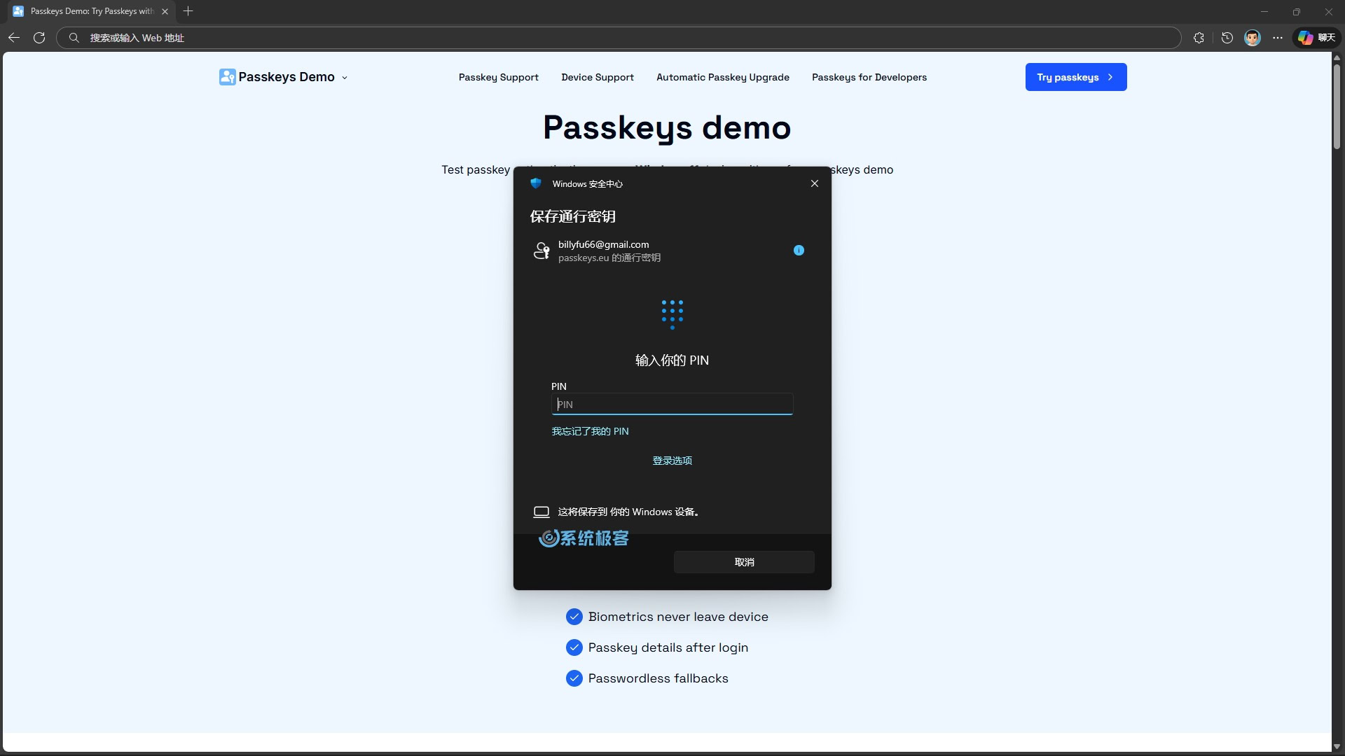 完成 Windows Hello 验证