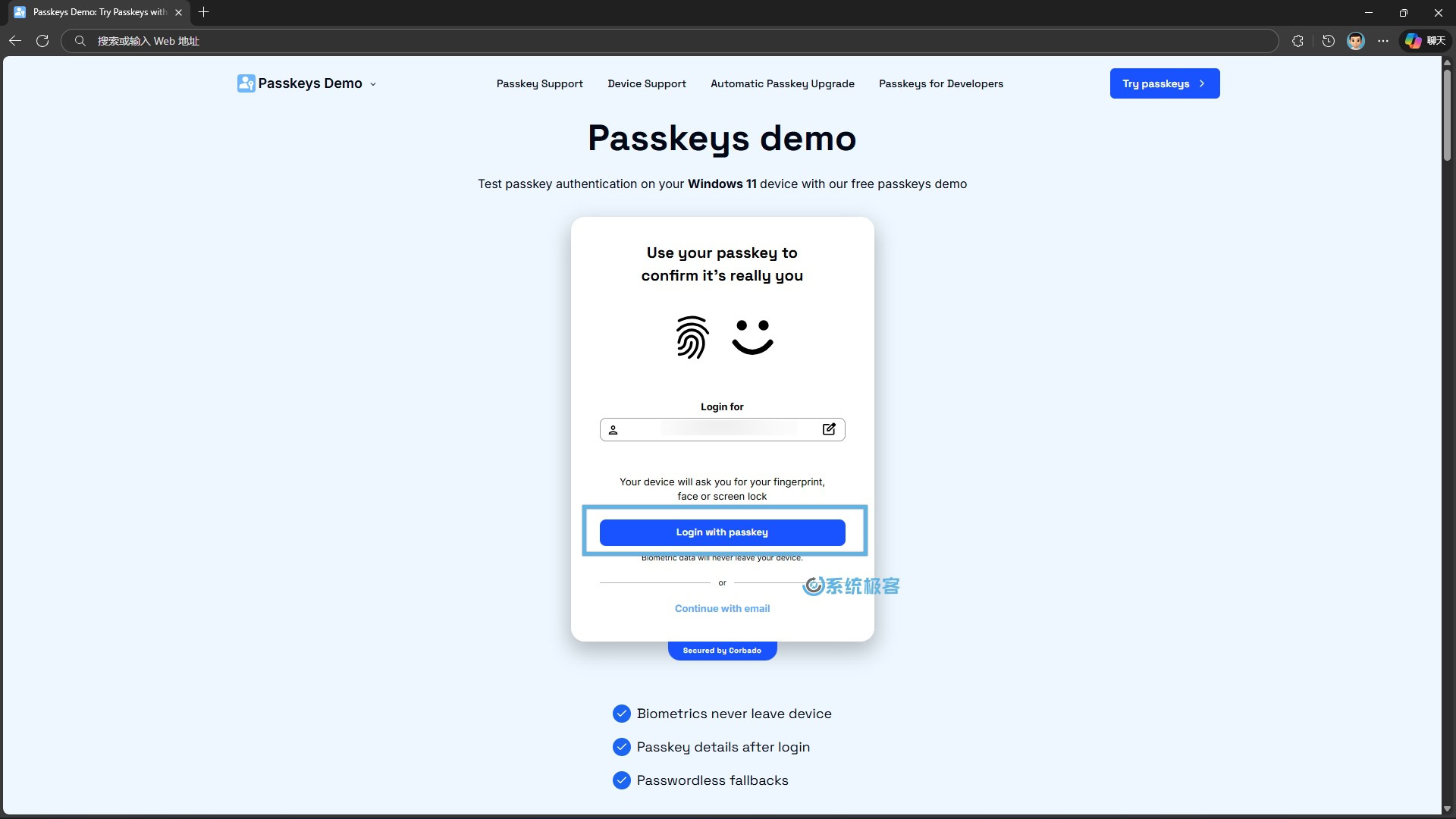 使用 Passkeys 登录