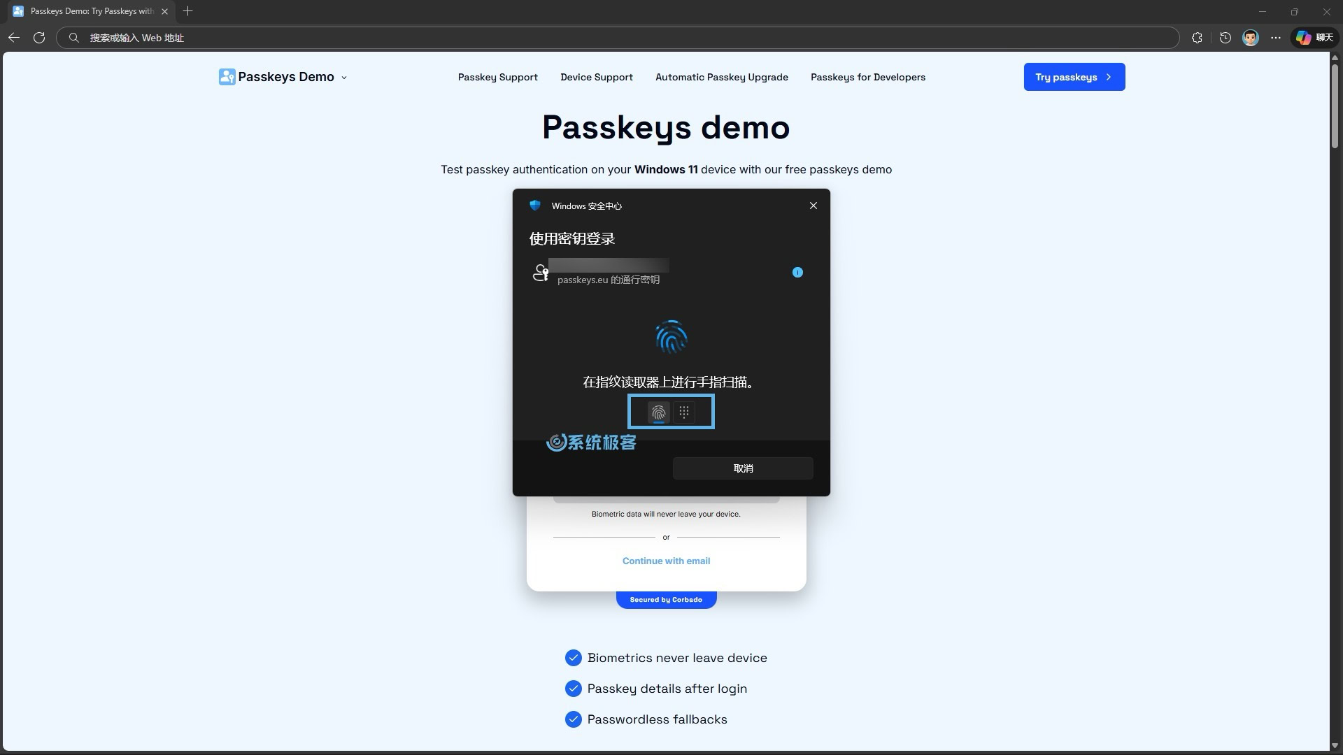 进行 Windows Hello 验证