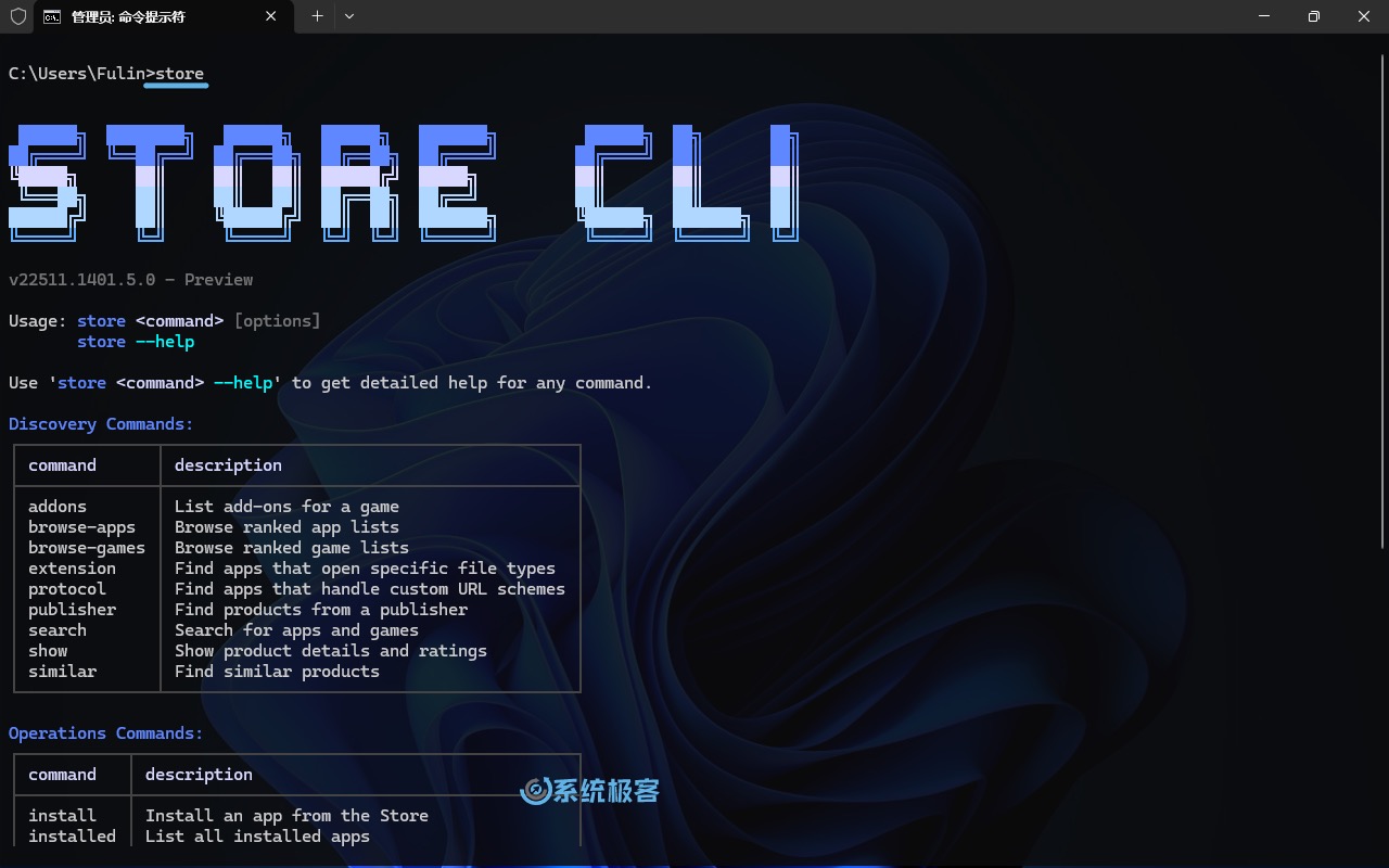 Store CLI