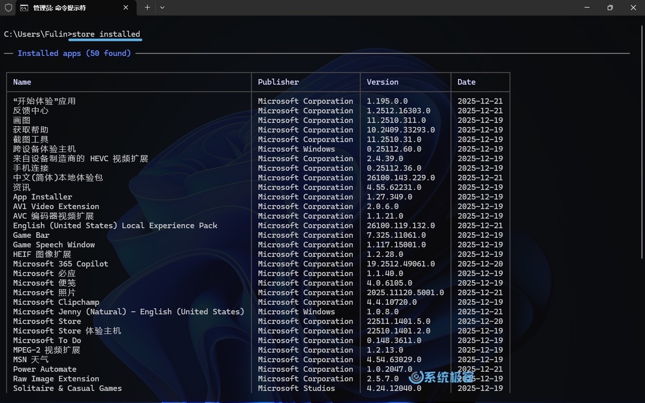 使用 Store CLI 查看已安装的应用
