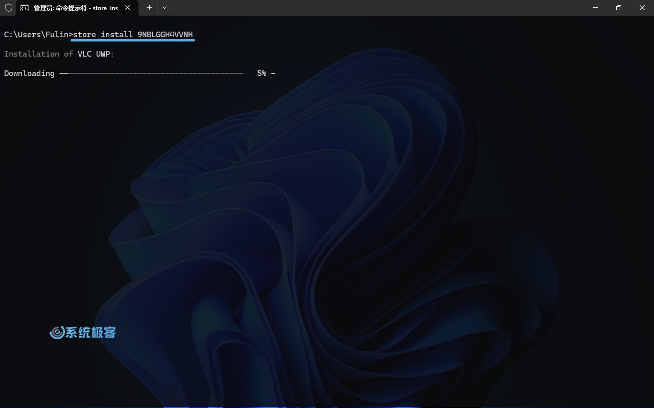 使用 Store CLI 安装应用