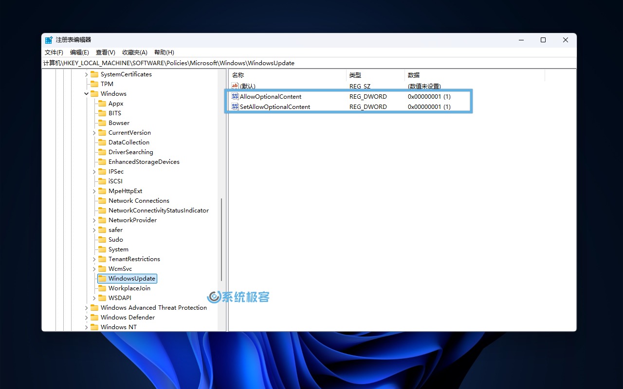 通过注册表启用 Windows 11 预览更新