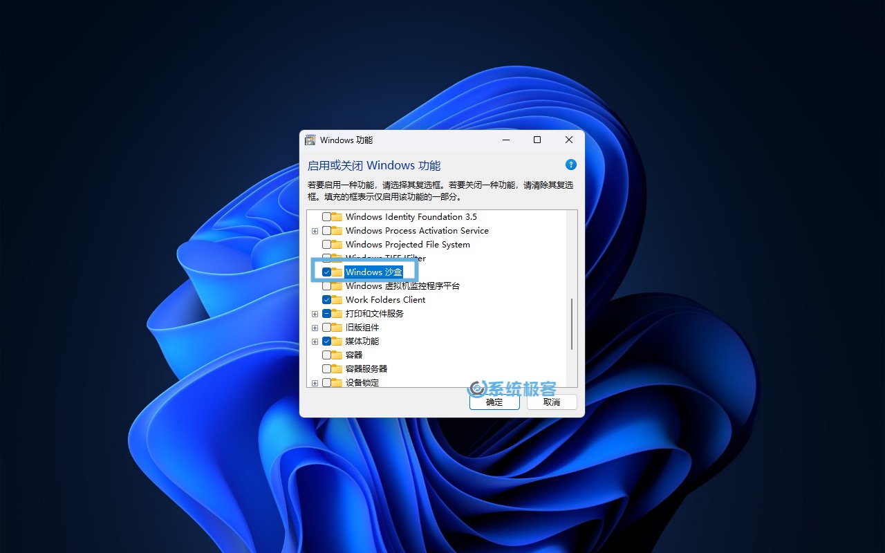 在「Windows 功能」中勾选 Windows 沙盒