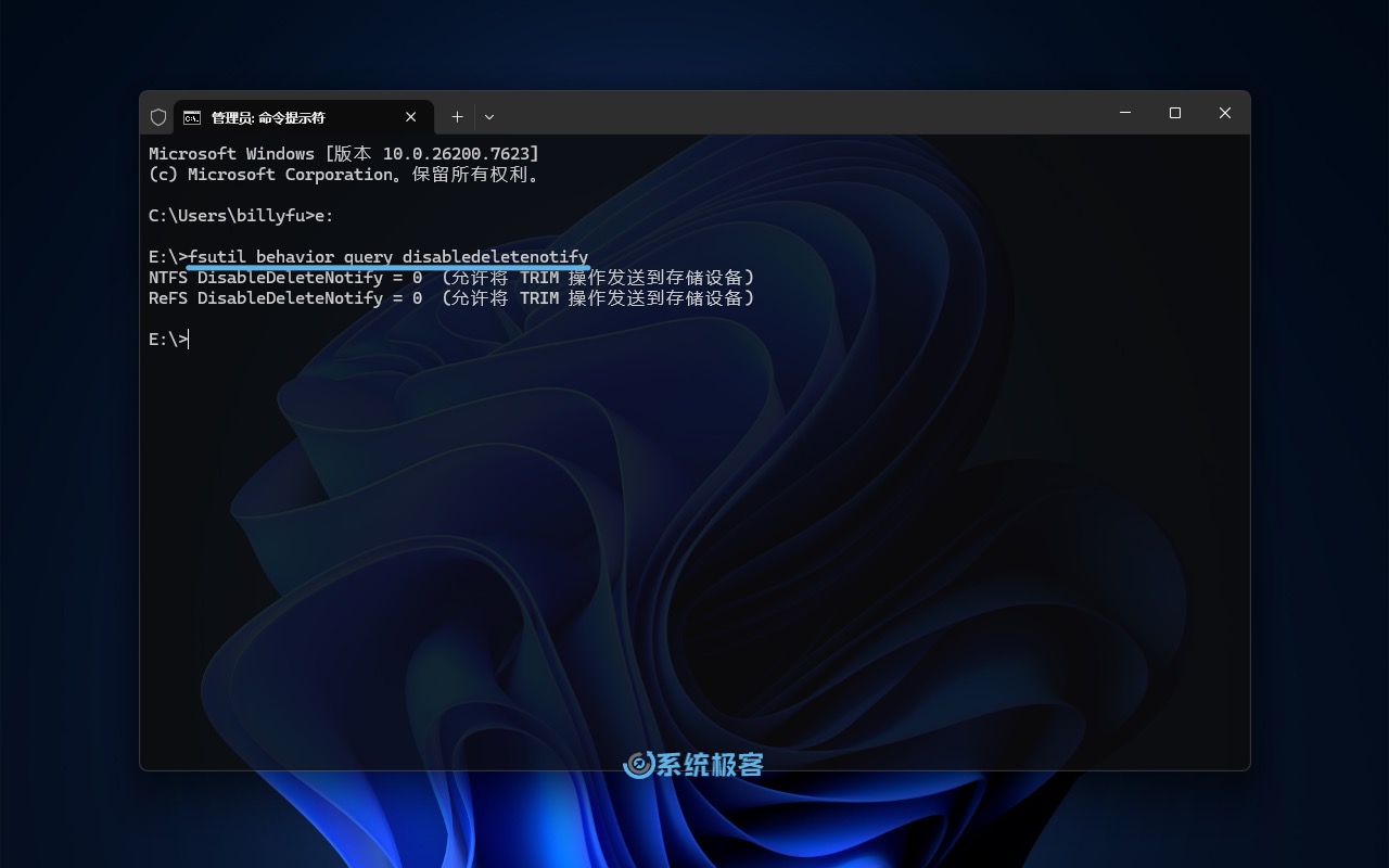 在 Windows 11 中检查 TRIM 当前状态