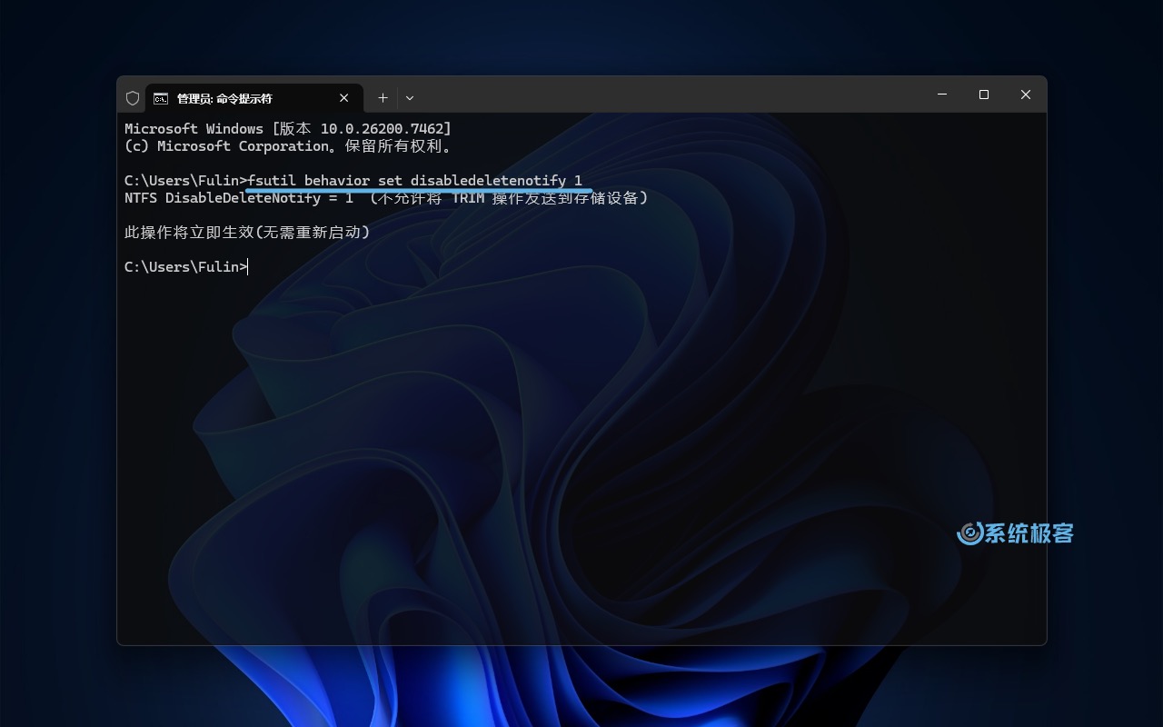 在 Windows 11 中禁用 TRIM 操作机制