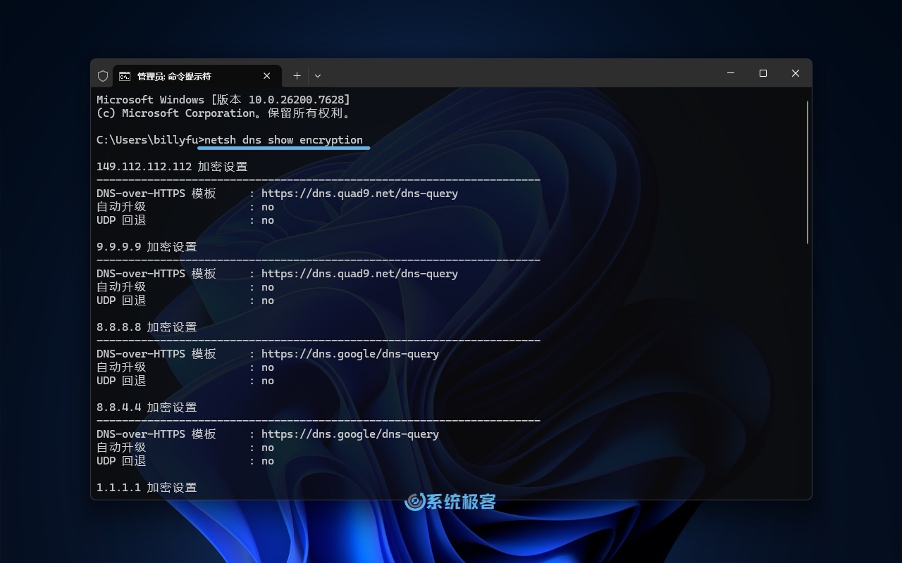 查看 Windows 11 内置 DNS-over-HTTPS 模板