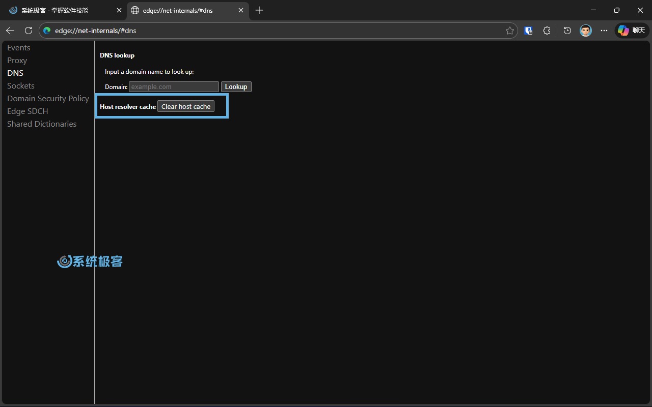 清理 Microsoft Edge 的 DNS 缓存