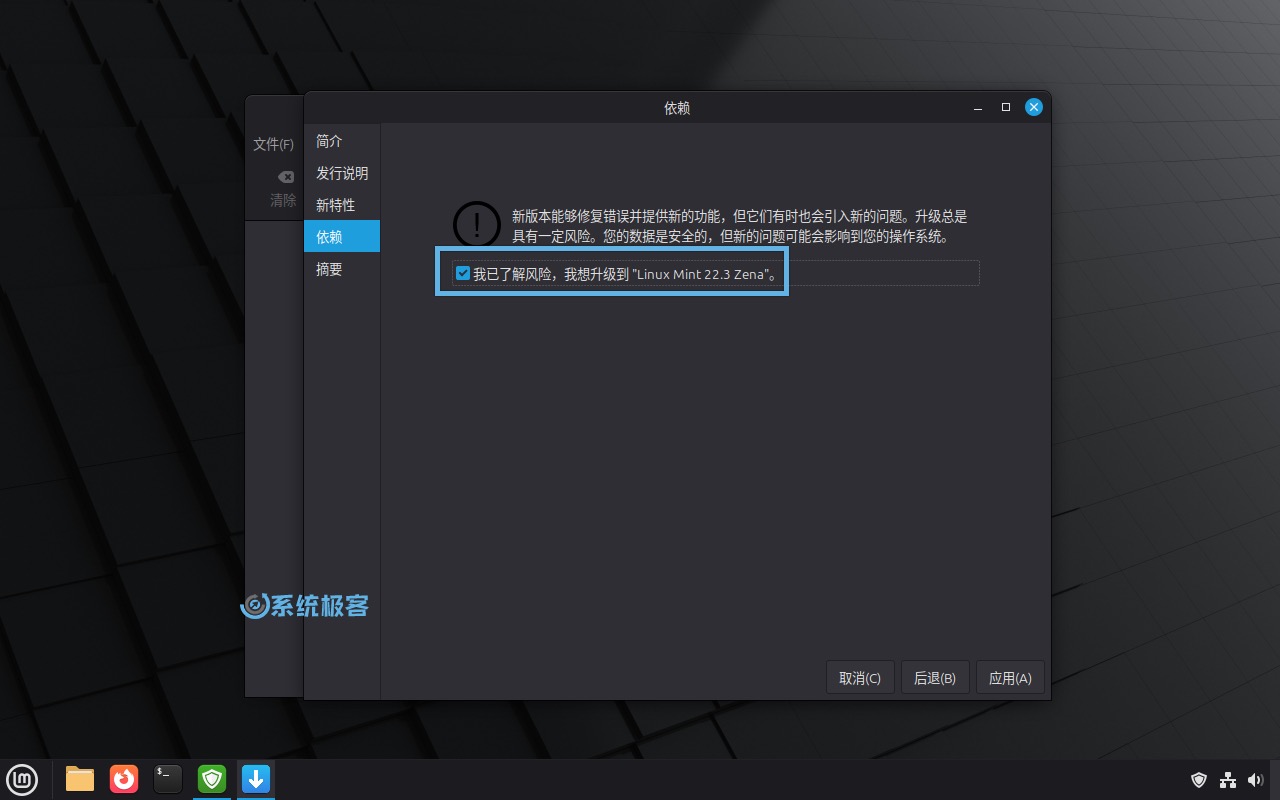 勾选「我已了解风险」并点击应用