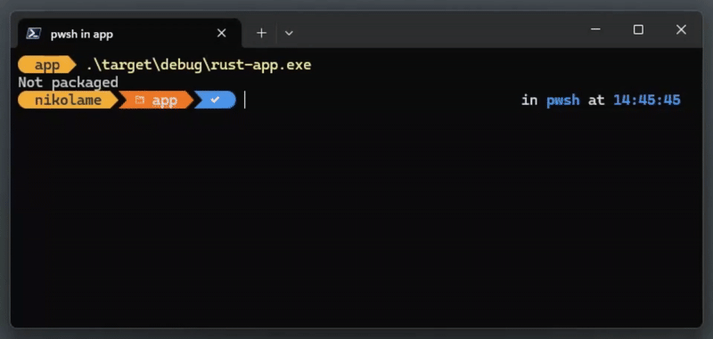 WinApp CLI 包标识
