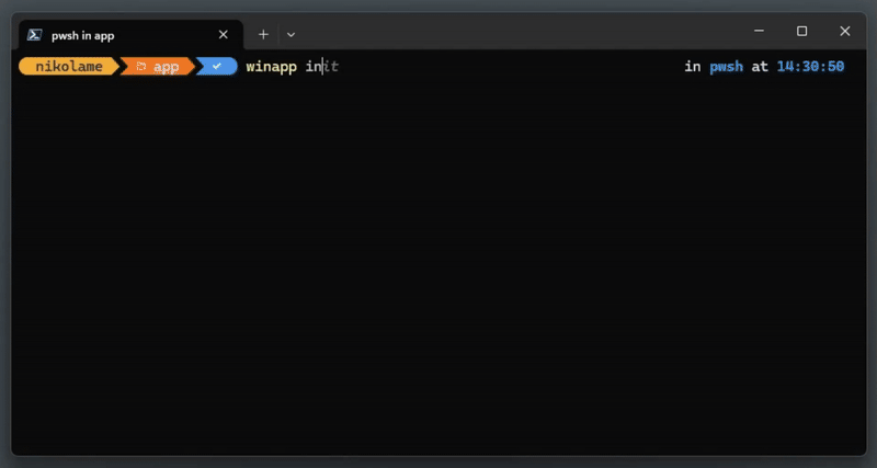 WinApp CLI 初始化