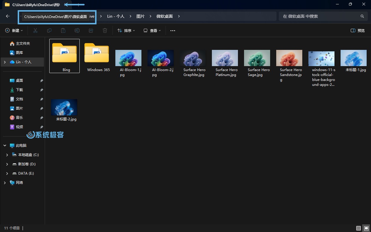 在文件资源管理器标签页上查看完整路径