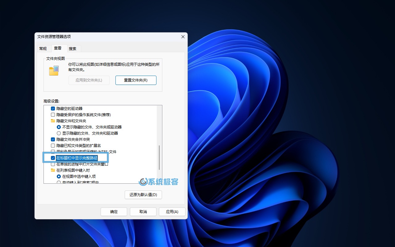 勾选「在标题栏中显示完整路径」