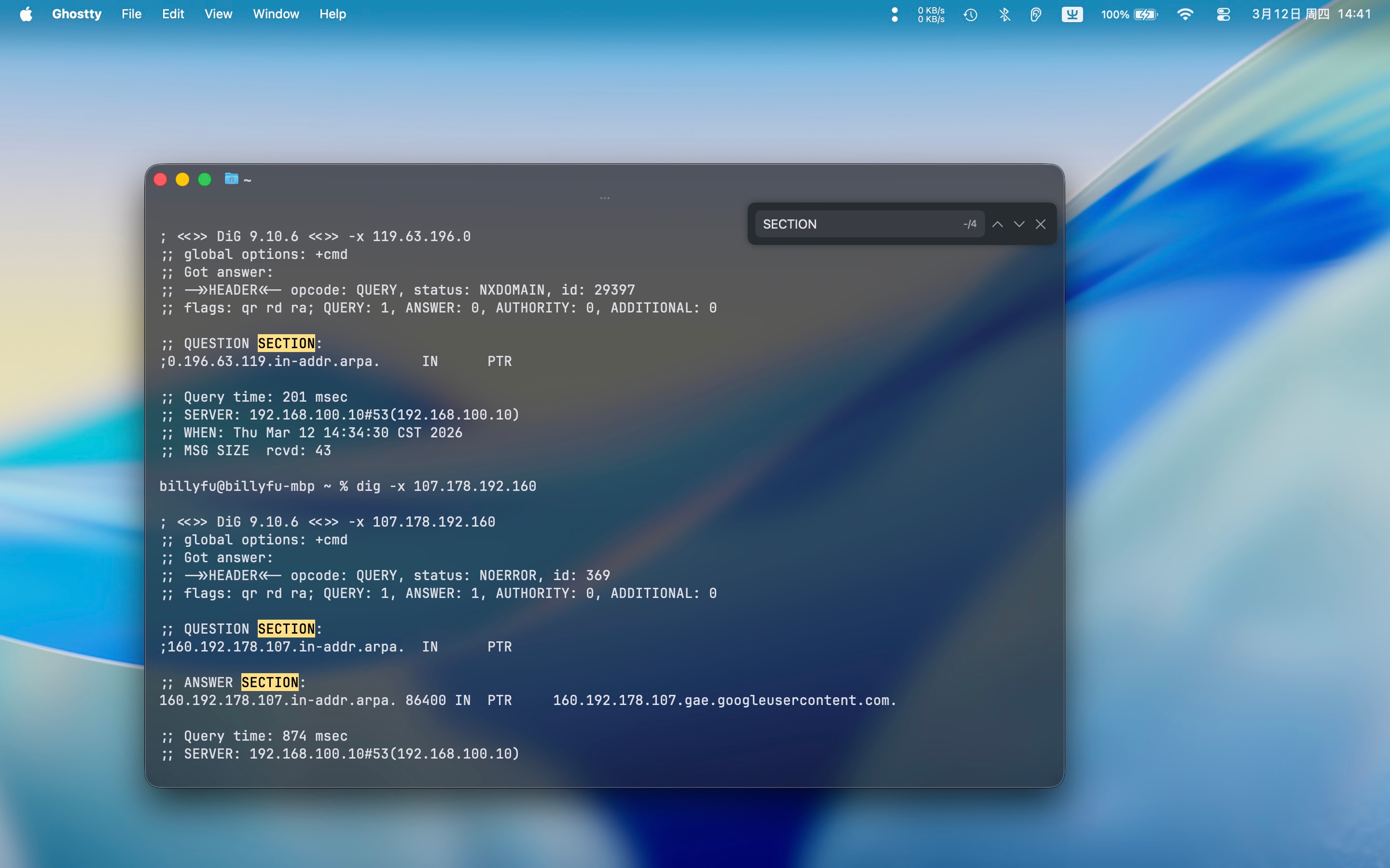 Ghostty 文本搜索高亮
