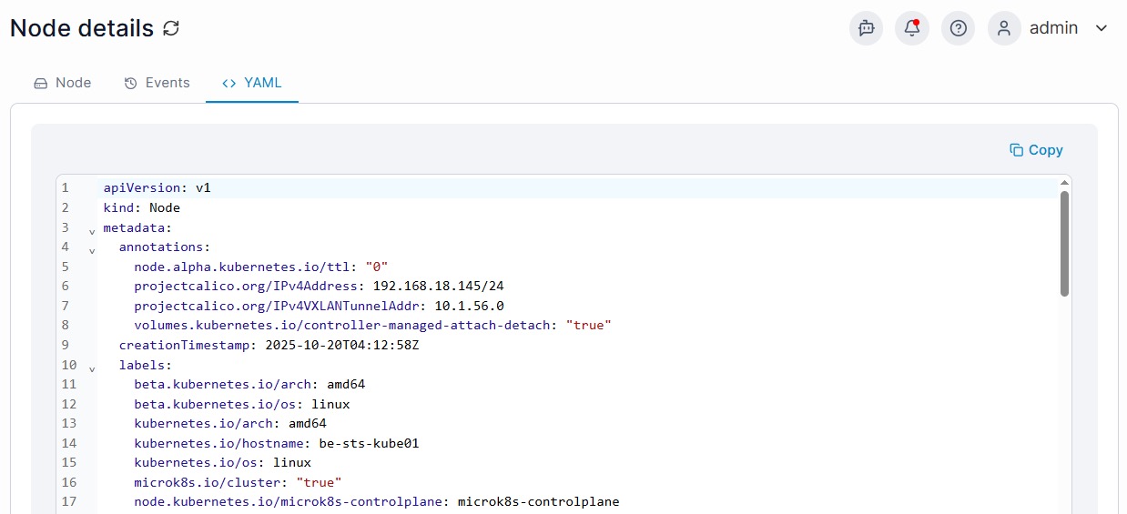 Portainer 2.39 LTS Kubernetes 节点 YAML 详细信息