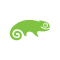 SUSE Linux Enterprise Server(SLES)