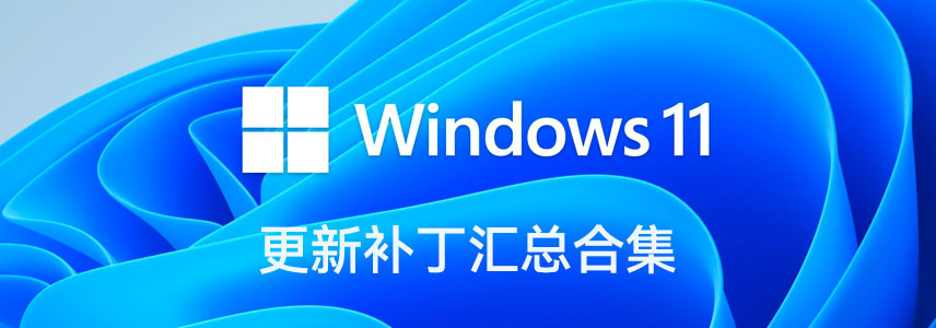 Windows 10/11 更新补丁